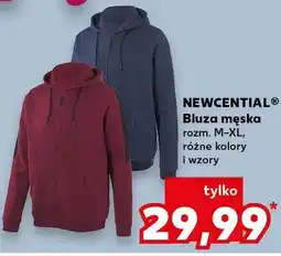 Kaufland Bluza męska, różne wzory i kolory oferta