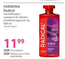 Hebe Szampon Radical normalizujący do włosów przetłuszczających się oferta