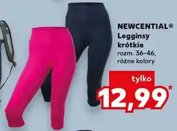 Kaufland Legginsy krótkie, różne kolory oferta