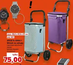 Kaufland Zegarek z bransoletką różne rodzaje oferta