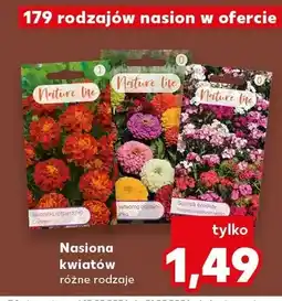 Kaufland Nasiona kwiatów ogrodowych, różne rodzaje oferta