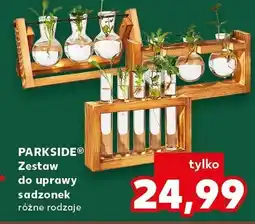 Kaufland Zestaw do uprawy sadzonek, różne rodzaje oferta