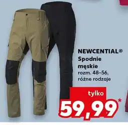 Kaufland Spodnie męskie, różne rodzaje oferta