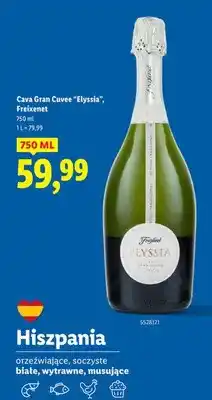Lidl Wino musujące Cava Gran Cuvee Elyssia oferta