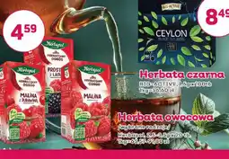 Bliski Herbapol herbata owocowa oferta