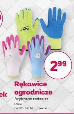 Bliski Rękawice ogrodnicze Ravi oferta