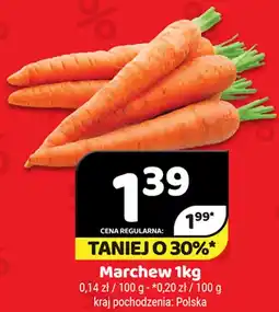 Delfin Marchew oferta