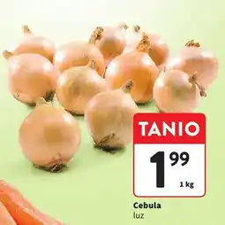 Intermarche Cebula luz oferta