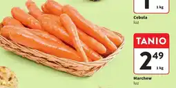 Intermarche Marchew luz oferta