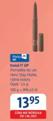 dm drogerie markt Pomadka do ust Hero Stay Matte, różne kolory oferta