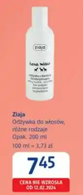 dm drogerie markt Odżywka do włosów, różne rodzaje oferta