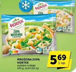 ABC Zupa mrożona wiosenna Hortex różne rodzaje oferta