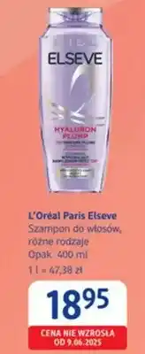 dm drogerie markt Szampon do włosów, różne rodzaje oferta