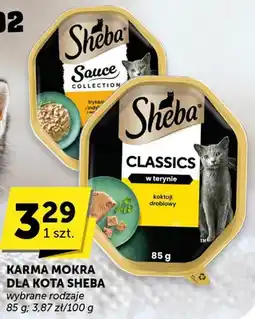 ABC Karma mokra dla kota Sheba wybrane rodzaje oferta