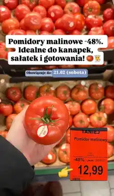 ALDI Pomidor malinowy oferta