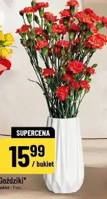 Polomarket Goździki oferta