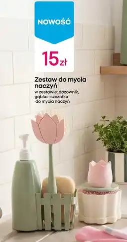 Pepco Zestaw do mycia naczyń oferta