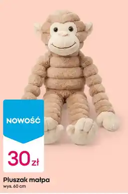 Pepco Pluszak małpa oferta