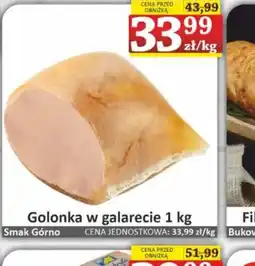 Marmax Golonka w galarecie oferta
