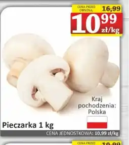 Marmax Pieczarka oferta