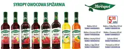 AT Herbapol Syropy owocowe Spiżarnia oferta