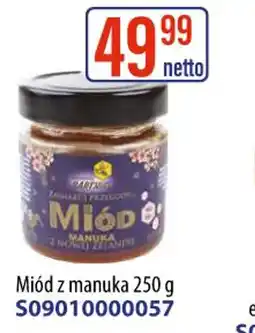 AT Lysoń Miód z manuka oferta