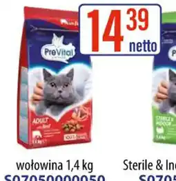 AT PreVital karma dla kota oferta