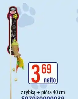 AT Wędka dla kota oferta