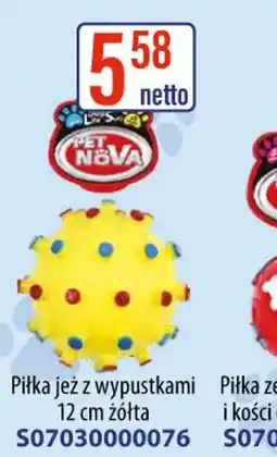 AT Pet Nova Piłka jeż oferta