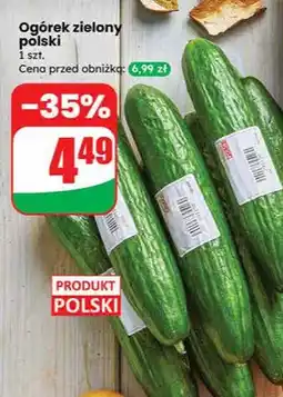Dino Ogórek zielony polski oferta