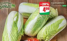 Dino Kapusta pekińska oferta