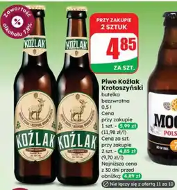 Dino Piwo Koźlak Krotoszyński butelka bezzwrotna oferta