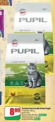 Dino Sucha karma dla kota oferta