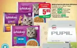 Dino Mokra karma dla kota oferta