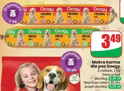 Dino Mokra karma dla psa oferta