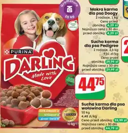 Dino Sucha karma dla psa wołowina oferta