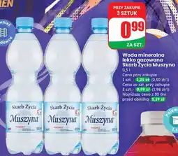 Dino Woda mineralna lekko gazowana Skarb Życia Muszyna oferta