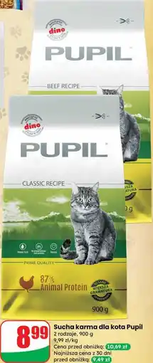 Dino Sucha karma dla kota Pupil oferta