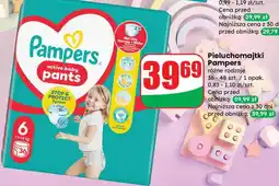 Dino Pieluchomajtki Pampers różne rodzaje oferta