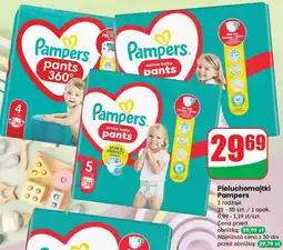Dino Pieluchomajtki Pampers 3 rodzaje oferta