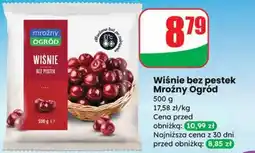 Dino Wiśnie bez pestek Mroźny Ogród oferta