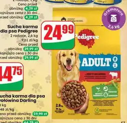 Dino Sucha karma dla psa Pedigree oferta