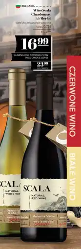 Polomarket Wino Scala Chardonnay lub Merlot oferta