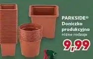 Kaufland Parkside Doniczka produkcyjna różne rodzaje oferta