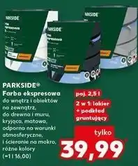 Kaufland Parkside Farba ekspresowa oferta