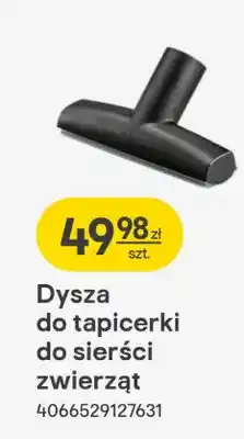 Castorama Dysza do tapicerki do sierści zwierząt oferta
