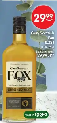 Żabka Whisky Grey Scottish Fox oferta