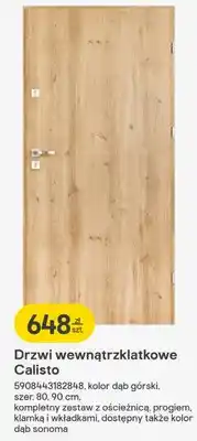Castorama Drzwi wewnątrzklatkowe Calisto oferta