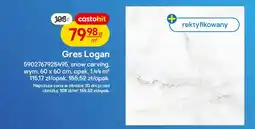 Castorama Gres Logan snow carving rektyfikowany oferta