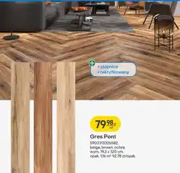 Castorama Gres Pont beige, brown, ochre stopnice, rektyfikowany oferta